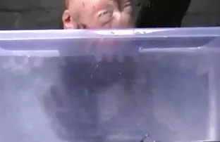 Mời một bạn bè với m ...