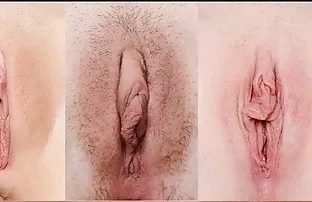 Các cô gái vớt các s ...