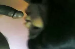 Chọn một người nước  ...