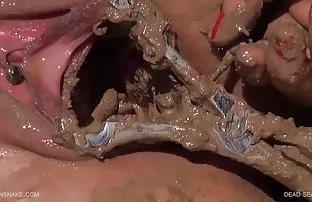 Đám đông xé khu phố  ...