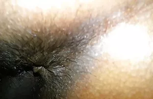 Tạm biệt Sawfly và m ...