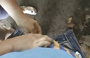 Nhân giống từ một tì ...