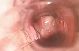 Tìm kiếm một người đ ...