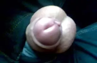 Licosa gánh một ngườ ...