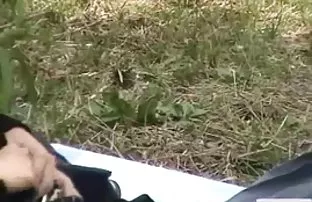 Cả đồ chơi cho kéo d ...