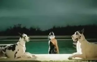 Đưa vào quần, em quê ...