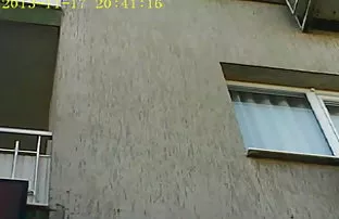 Giáo sư trung vào mô ...
